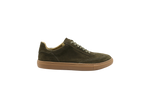 Forestal Pine